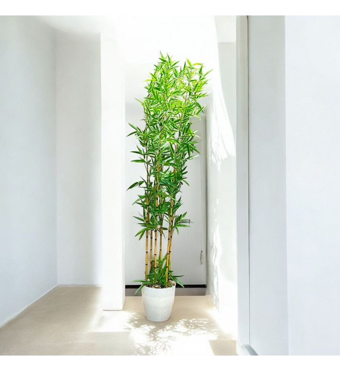 اشجار صناعية زينة ورق بامبوا مركن ابيض ارتفاع 185 سم اشجار صناعية زينة ورق بامبوا مركن ابيض ارتفاع 185 سم