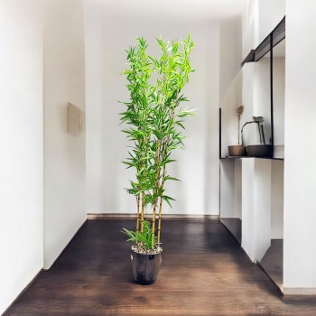 اشجار صناعية زينة ورق بامبوا  مركن اسود ارتفاع 185 سم