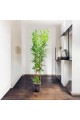 اشجار صناعية زينة ورق بامبوا مركن اسود ارتفاع 185 سم اشجار صناعية زينة ورق بامبوا مركن اسود ارتفاع 185 سم
