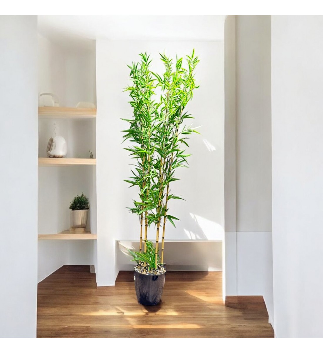 اشجار صناعية زينة ورق بامبوا مركن اسود ارتفاع 185 سم اشجار صناعية زينة ورق بامبوا مركن اسود ارتفاع 185 سم