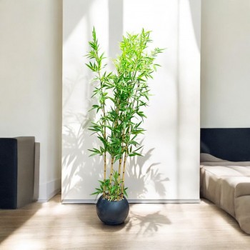 اشجار صناعية زينة ورق بامبوا  مركن اسود ارتفاع 185 سم