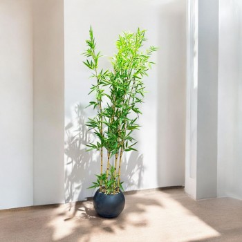 اشجار صناعية زينة ورق بامبوا  مركن اسود ارتفاع 185 سم