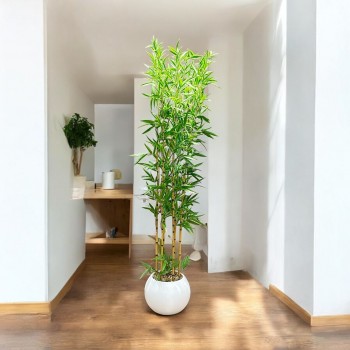اشجار صناعية زينة ورق بامبوا  مركن ابيض ارتفاع 185 سم