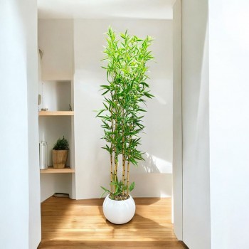 اشجار صناعية زينة ورق بامبوا  مركن ابيض ارتفاع 185 سم