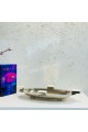 Stainless steel serving plate, size 39 x 20 x 5 cm