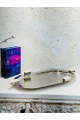 Stainless steel serving plate, size 46 x 26 x 3 cm