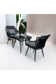 Tea table set, 2 chairs and a table