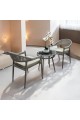 Tea table set, 2 chairs and a table