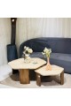 Shelley Travertine Marble Coffee Table Set