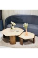 Shelley Travertine Marble Coffee Table Set