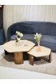 Shelley Travertine Marble Coffee Table Set