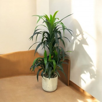 شجر زينة صناعي مع مركن ابيض145سم تقريبا 