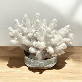 تحفة ديكور منزلي9×8×8سم 