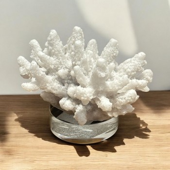 تحفة ديكور منزلي9×8×8سم 