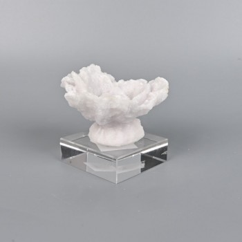 تحفة ديكور شكل وردة بحرية بتصميم جمالي فاخر 10×8×8سم 