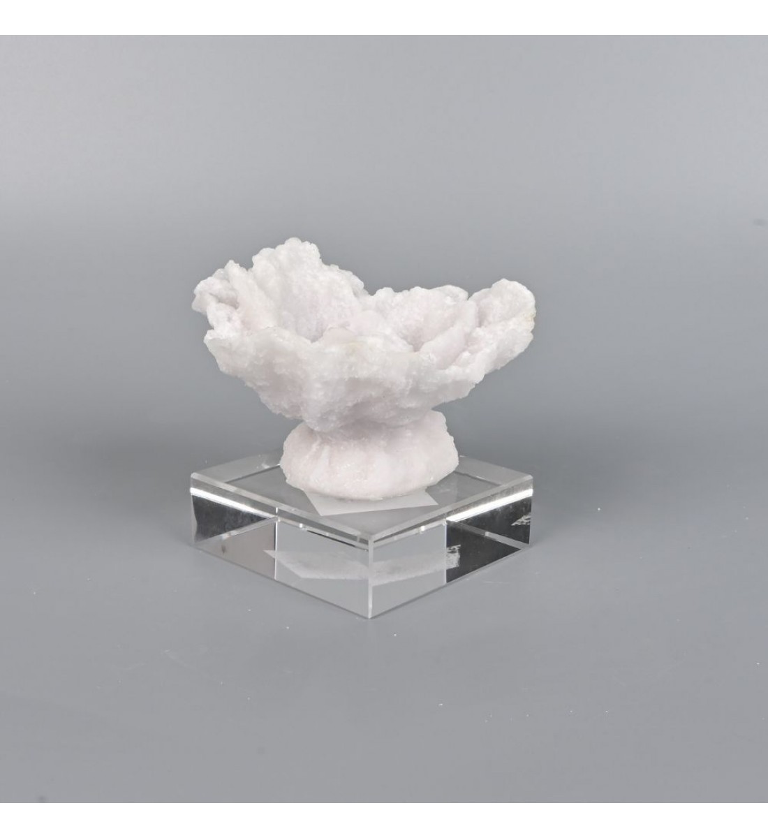 تحفة ديكور شكل وردة بحرية بتصميم جمالي فاخر 10×8×8سم 