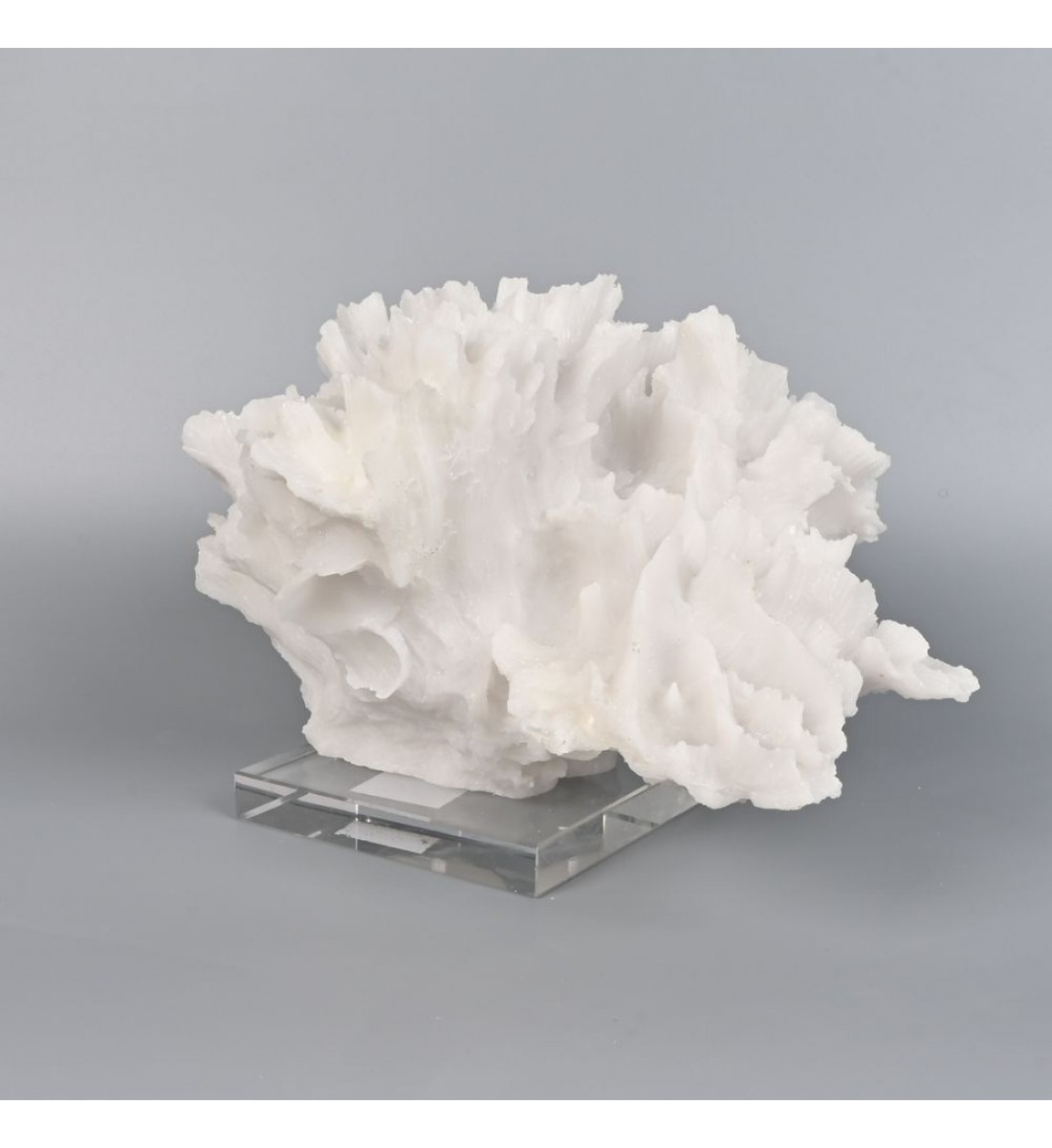 تحفة زينه ديكور شكل مرجان بقاعدة مربعة شفافة - مناسبة للزينة في المكاتب والمنازل