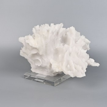 تحفة زينه ديكور شكل مرجان بقاعدة مربعة شفافة - مناسبة للزينة في المكاتب والمنازل