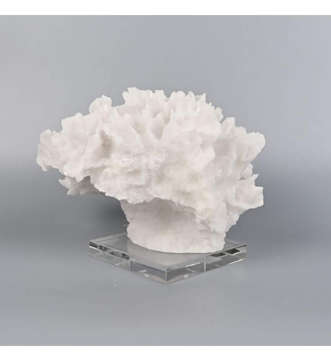 تحفة زينه ديكور شكل مرجان بقاعدة مربعة شفافة - مناسبة للزينة في المكاتب والمنازل