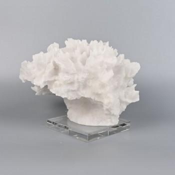 تحفة زينه ديكور شكل مرجان بقاعدة مربعة شفافة - مناسبة للزينة في المكاتب والمنازل