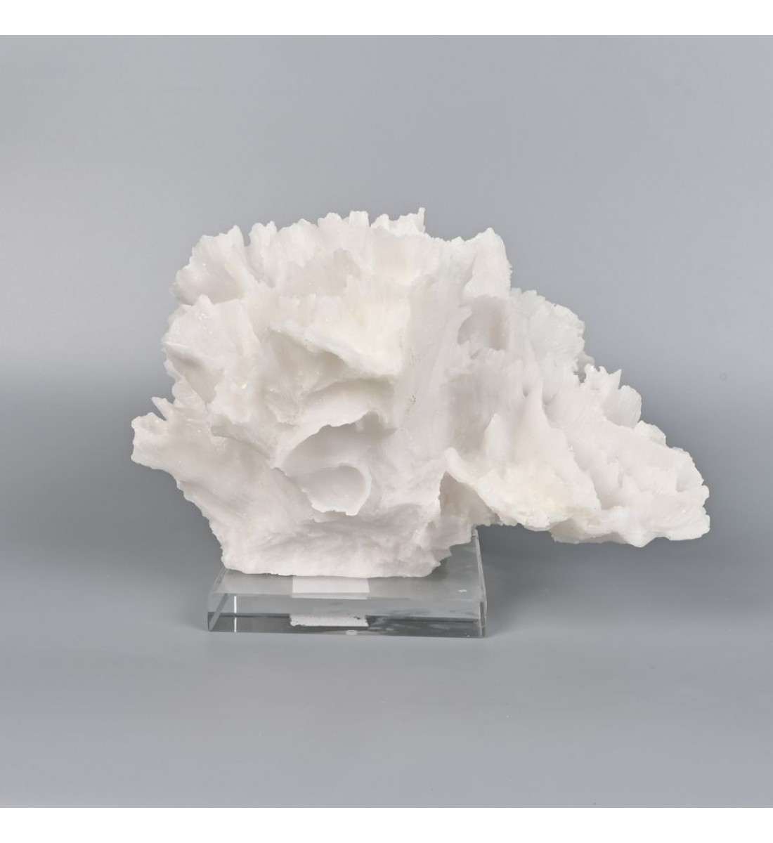 تحفة زينه ديكور شكل مرجان بقاعدة مربعة شفافة - مناسبة للزينة في المكاتب والمنازل