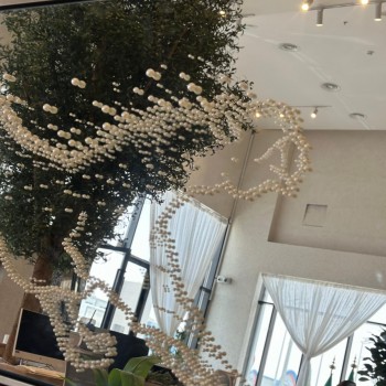 مرايا جداريه رسمة صدف 200×100سم