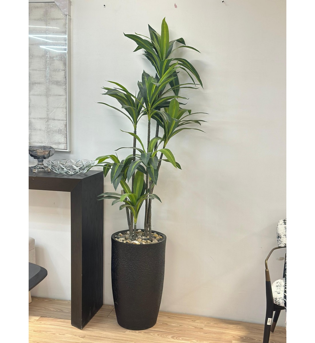 مركن شجر اسود  تزيين صناعي  شكل حديث 2سم 