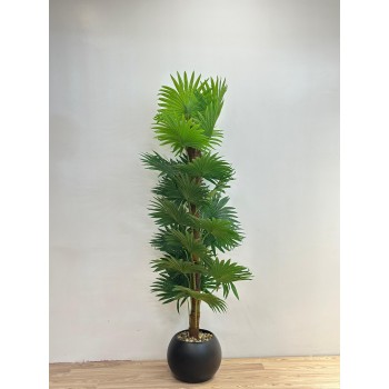 شجرة بمركن اسود واشتنوني ديكور اصطناعية بتصميم واقعي وأوراق خضراء كثيفة تضفي لمسة طبيعية ومنعشة على المكان. 168سم 