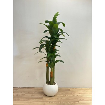 شجرة بمركن ابيض 3فروع ديكور اصطناعية بتصميم واقعي وأوراق خضراء كثيفة تضفي لمسة طبيعية ومنعشة على المكان. 162سم