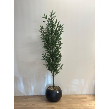 شجرة بمركن اسود زيتون ارتفاع  168سم   ديكور اصطناعية بتصميم واقعي وأوراق خضراء كثيفة تضفي لمسة طبيعية ومنعشة على المكان. 