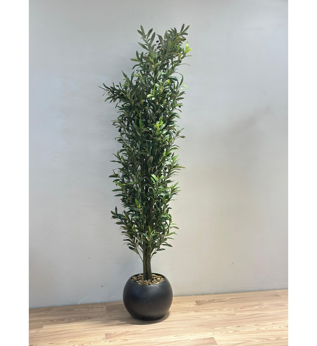 شجرة بمركن اسود زيتون ارتفاع 200سم ديكور اصطناعية بتصميم واقعي وأوراق خضراء كثيفة تضفي لمسة طبيعية ومنعشة على المكان. شجرة بمركن اسود زيتون ارتفاع 200سم ديكور اصطناعية بتصميم واقعي وأوراق خضراء كثيفة تضفي لمسة طبيعية ومنعشة على المكان.