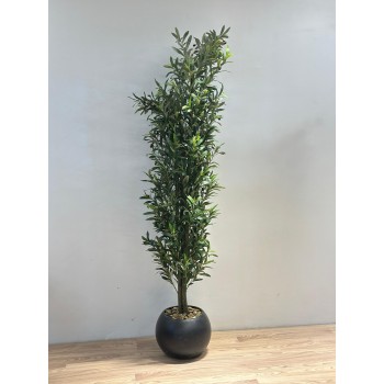 شجرة بمركن اسود زيتون ارتفاع  200سم  ديكور اصطناعية بتصميم واقعي وأوراق خضراء كثيفة تضفي لمسة طبيعية ومنعشة على المكان. 