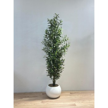 شجرة زيتون بمركن ابيض اصطناعية للديكور ??، مصممة بشكل أنيق لتعكس جمال الطبيعة وهدوءها. 180سم 