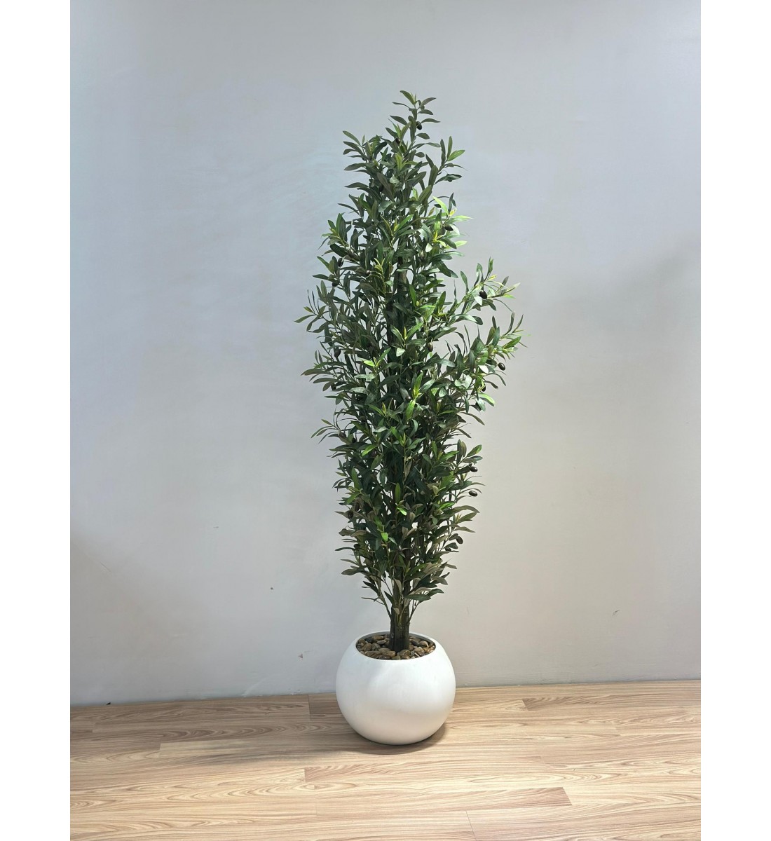شجرة زيتون بمركن ابيض اصطناعية للديكور ??، مصممة بشكل أنيق لتعكس جمال الطبيعة وهدوءها. 180سم 