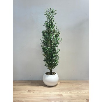 شجرة زيتون بمركن ابيض اصطناعية للديكور ??، مصممة بشكل أنيق لتعكس جمال الطبيعة وهدوءها. 153سم 