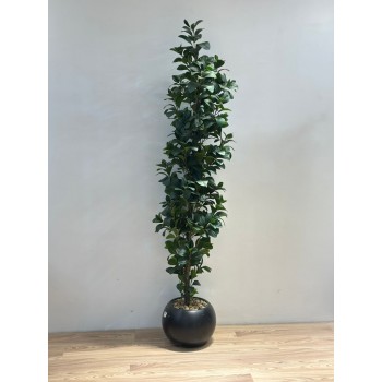 نبتة زينة صناعية بلمسة طبيعية بمركن اسود 190سم 