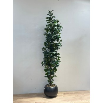 نبتة زينة صناعية بلمسة طبيعية بمركن اسود 190سم 