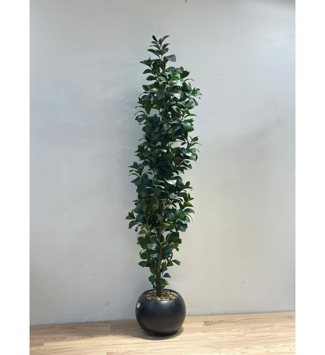 نبتة زينة صناعية بلمسة طبيعية بمركن اسود 190سم 