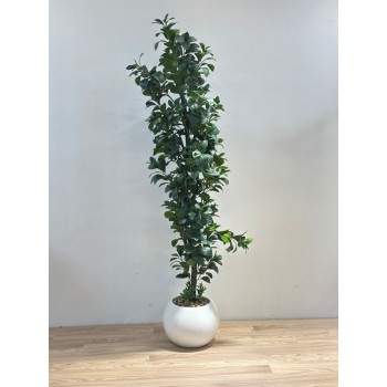 نبتة زينة صناعية بلمسة طبيعية بمركن ابيض 190سم 