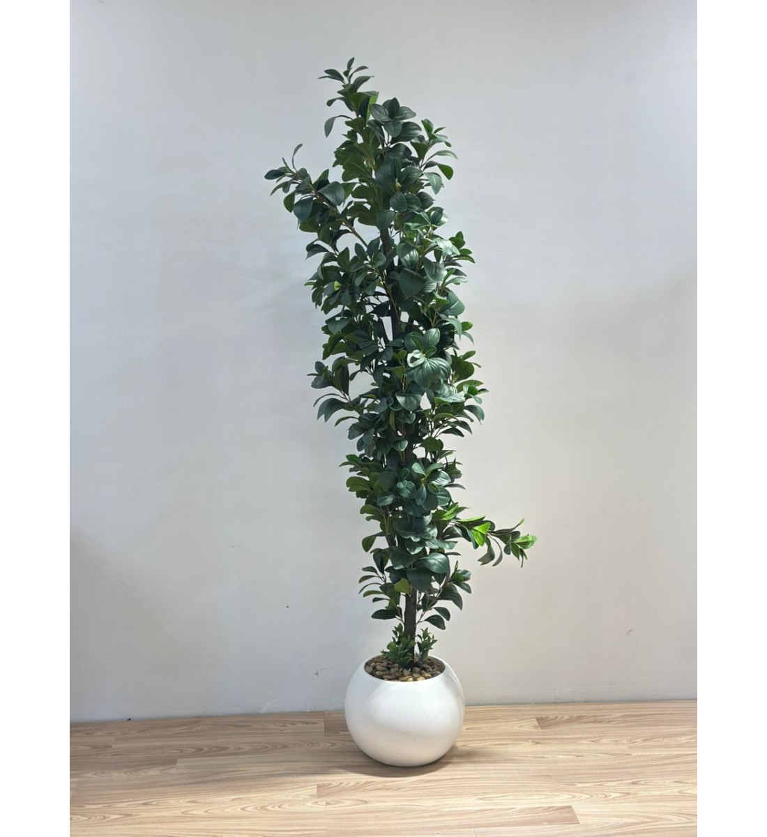 نبتة زينة صناعية بلمسة طبيعية بمركن ابيض 190سم 