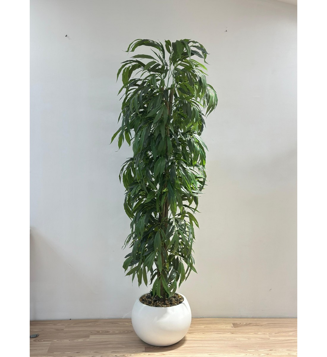 نبتة زينة صناعية بلمسة طبيعية دراسينا رفلكسا بمركن ابيض 2سم 