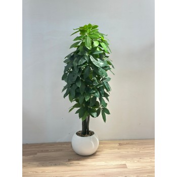 نبتة زينة صناعية المال  بلمسة طبيعية بمركن ابيض 155سم 