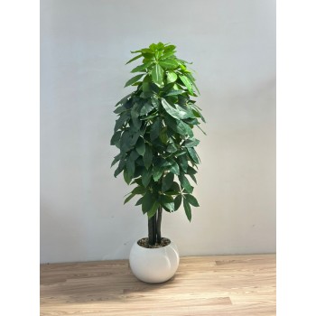 نبتة زينة صناعية المال  بلمسة طبيعية بمركن ابيض 155سم 