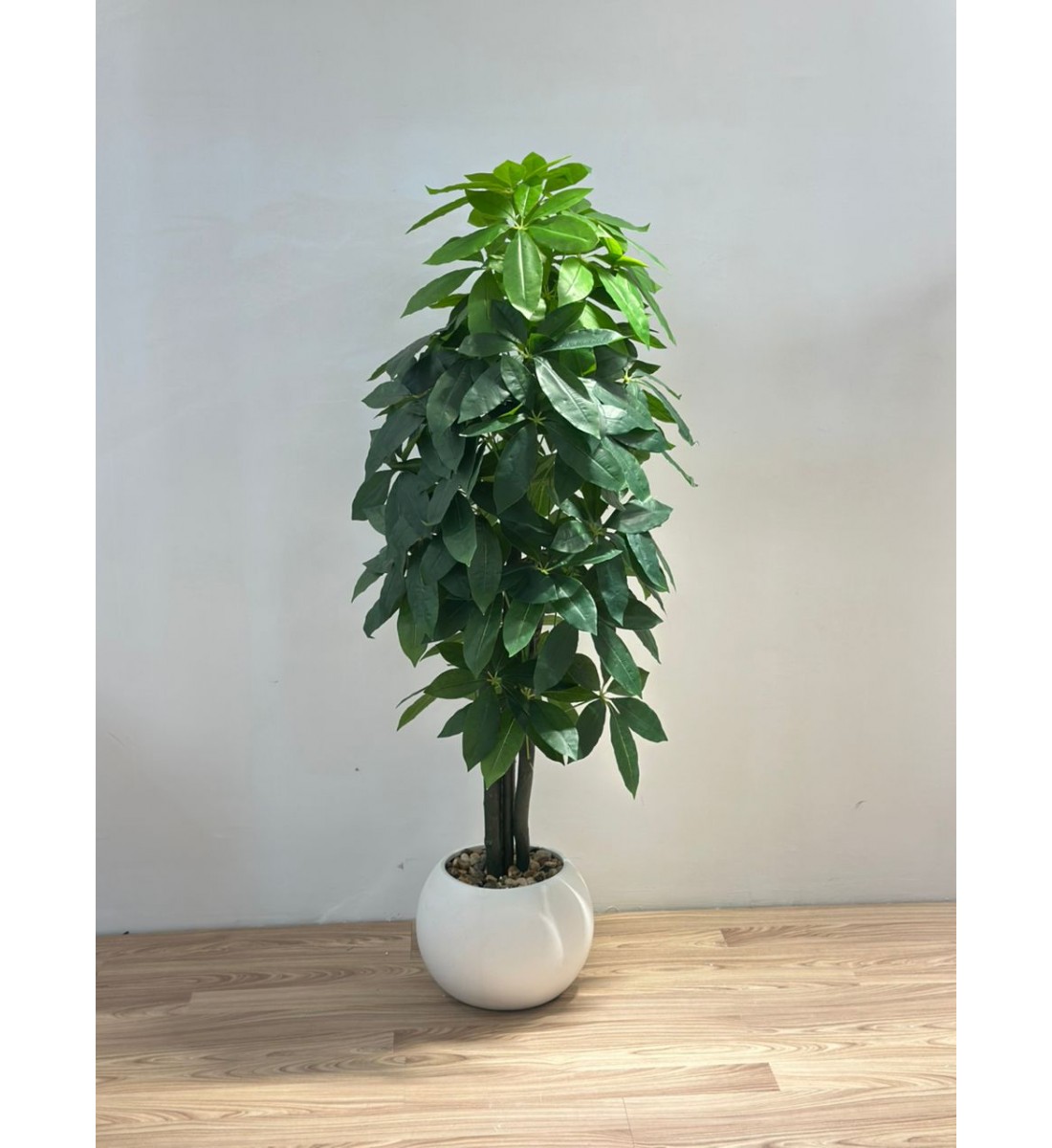 نبتة زينة صناعية المال  بلمسة طبيعية بمركن ابيض 155سم 