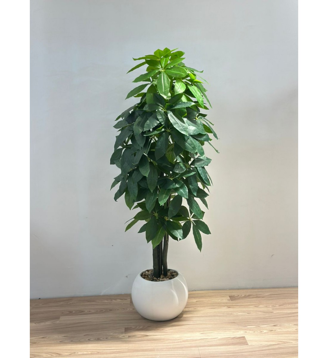 نبتة زينة صناعية المال  بلمسة طبيعية بمركن ابيض 155سم 