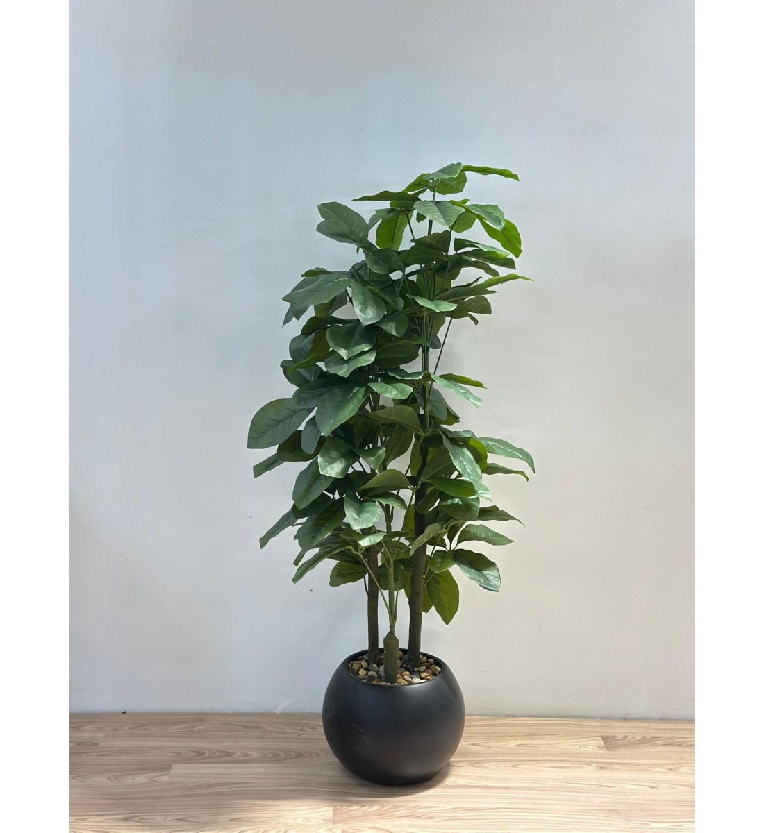 نبتة زينة صناعية بلمسة طبيعية بمركن اسود 145سم 