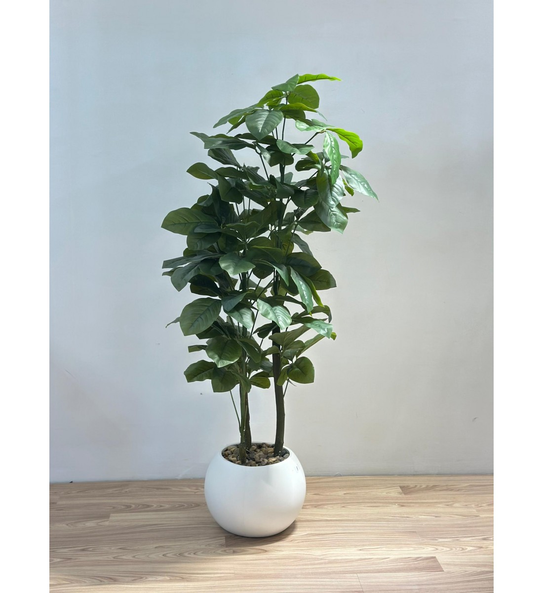 نبتة زينة صناعية بلمسة طبيعية بمركن ابيض 145سم 