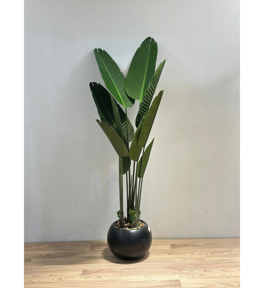 شجرة طائر الجنة الاسود لديكور داخلي راق (موز) 165سم 