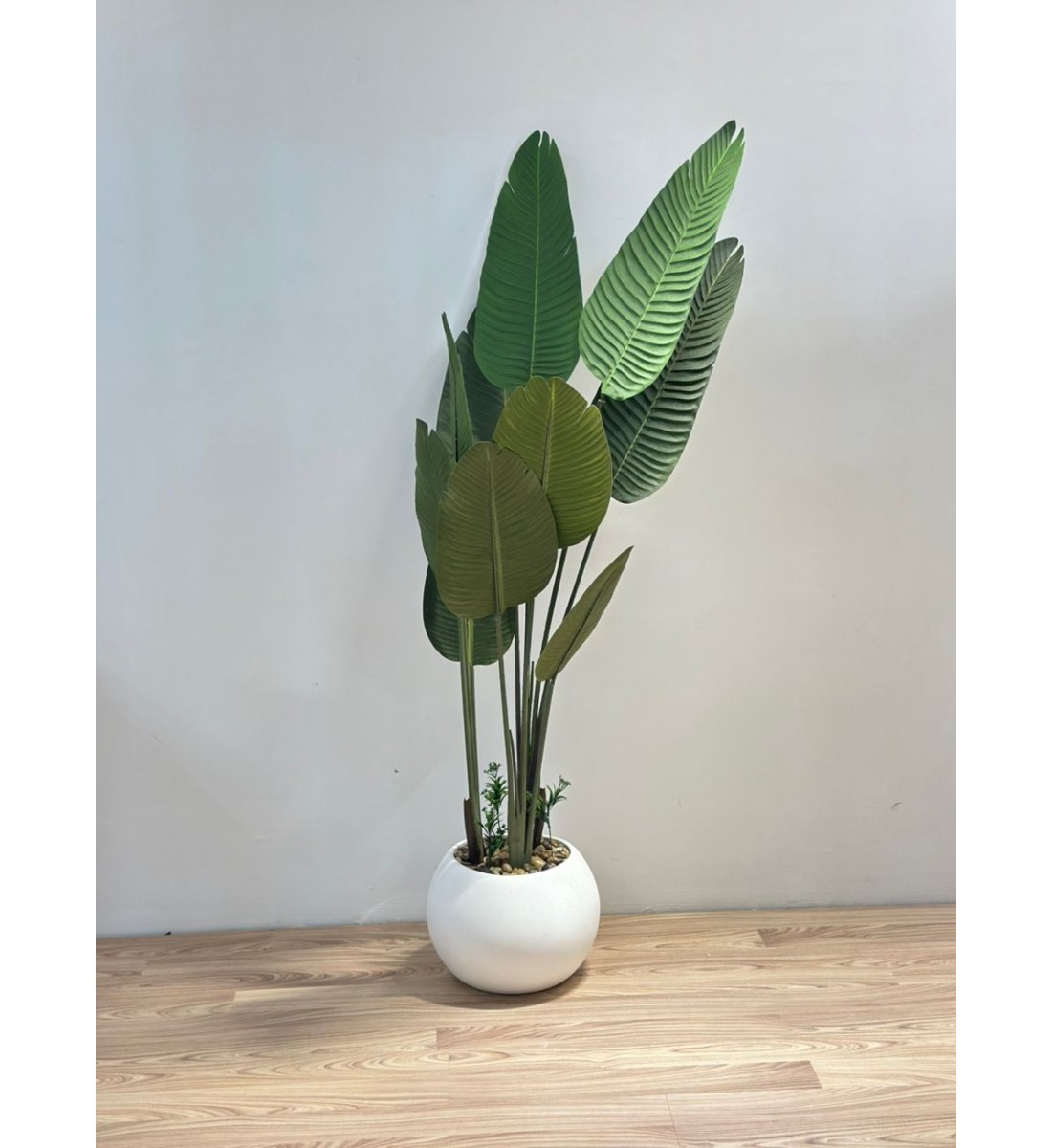 شجرة طائر الجنة الابيض لديكور داخلي راق (موز) 165سم 