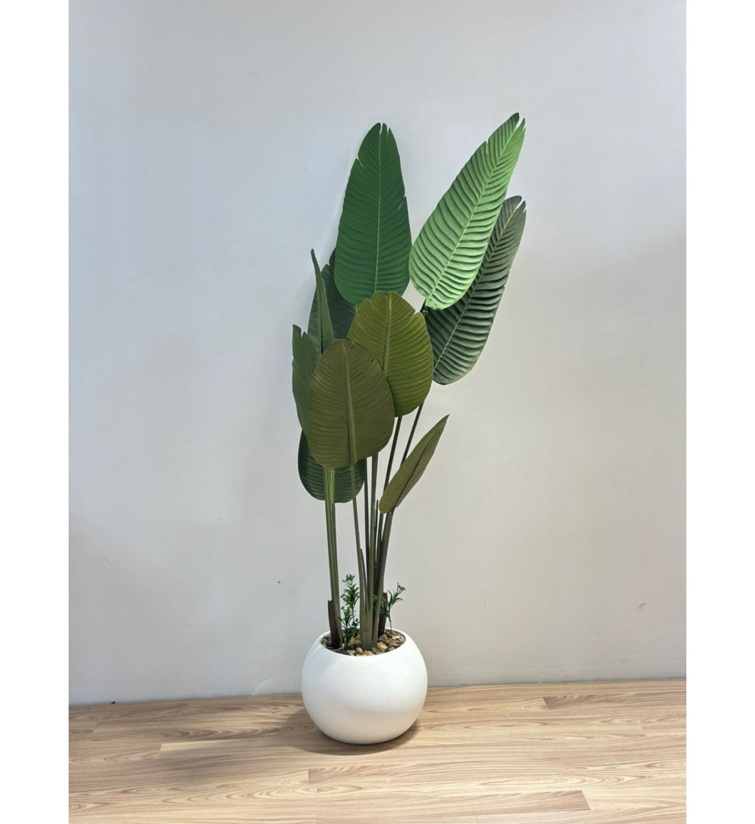 شجرة طائر الجنة الابيض لديكور داخلي راق (موز) 165سم 